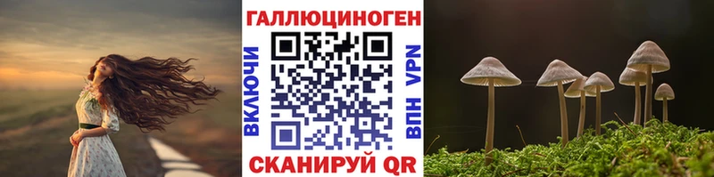 закладка  OMG как войти  Псилоцибиновые грибы Psilocybine cubensis  Котлас 