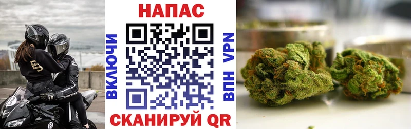 как найти закладки  Котлас  Марихуана гибрид 